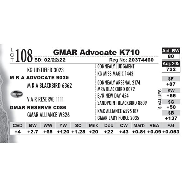 GMAR Advocate K710