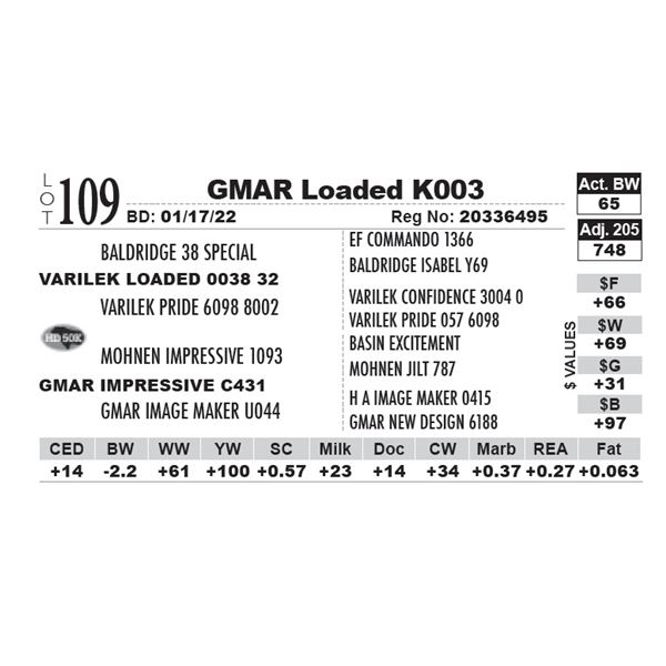 GMAR Loaded K003