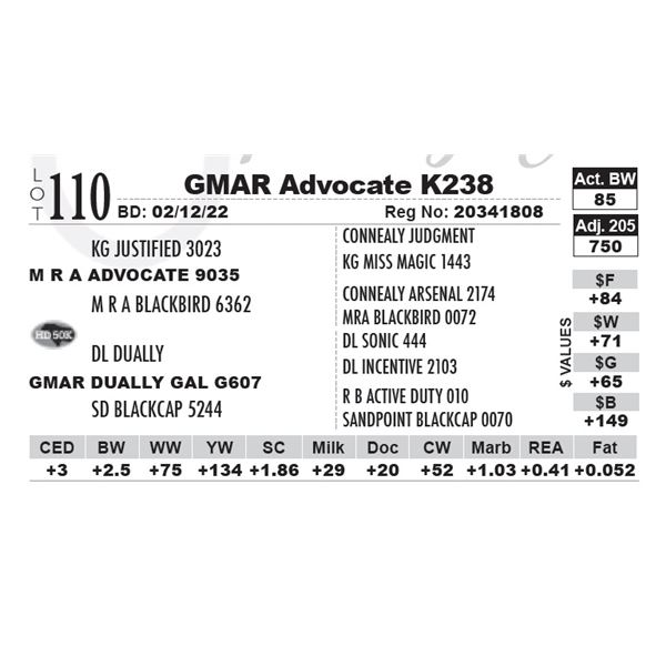 GMAR Advocate K238