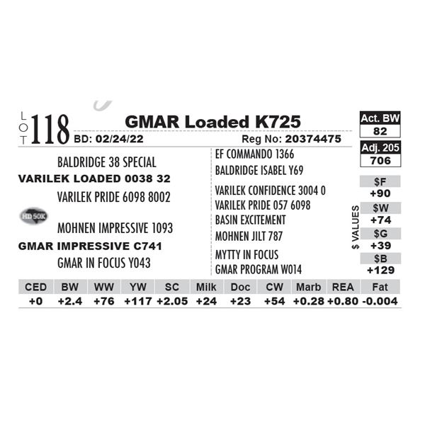 GMAR Loaded K725