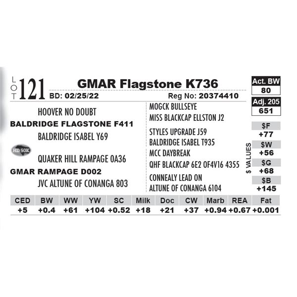 GMAR Flagstone K736