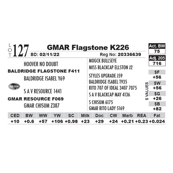 GMAR Flagstone K226