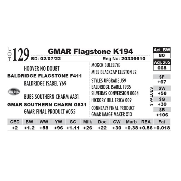 GMAR Flagstone K194