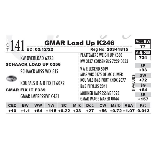 GMAR Load Up K246