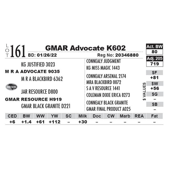 GMAR Advocate K602