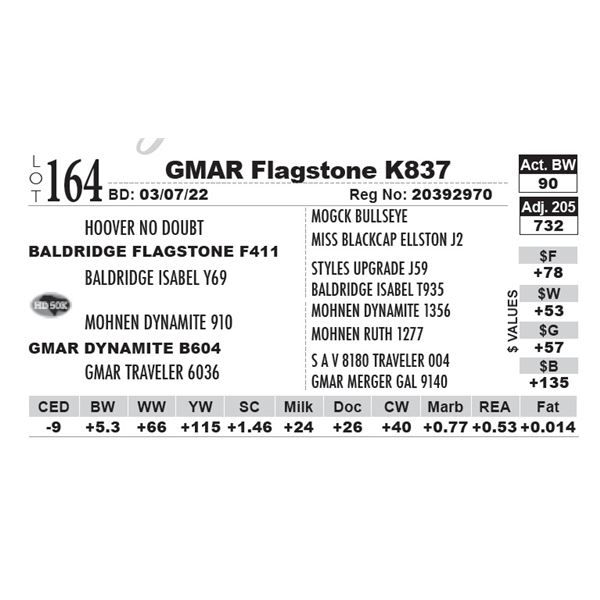 GMAR Flagstone K837