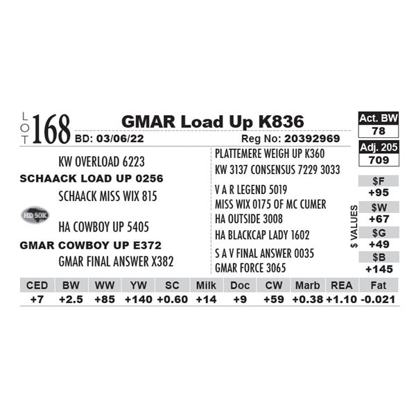 GMAR Load Up K836