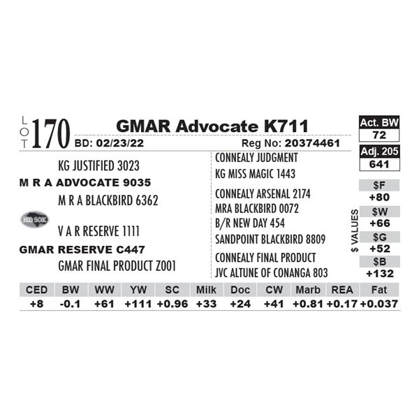 GMAR Advocate K711