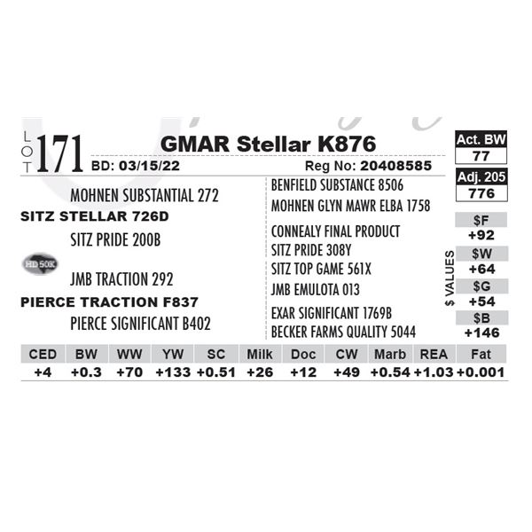 GMAR Stellar K876