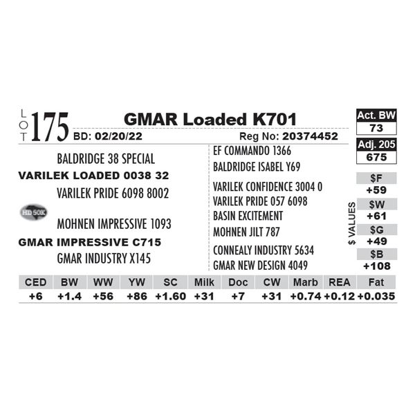 GMAR Loaded K701