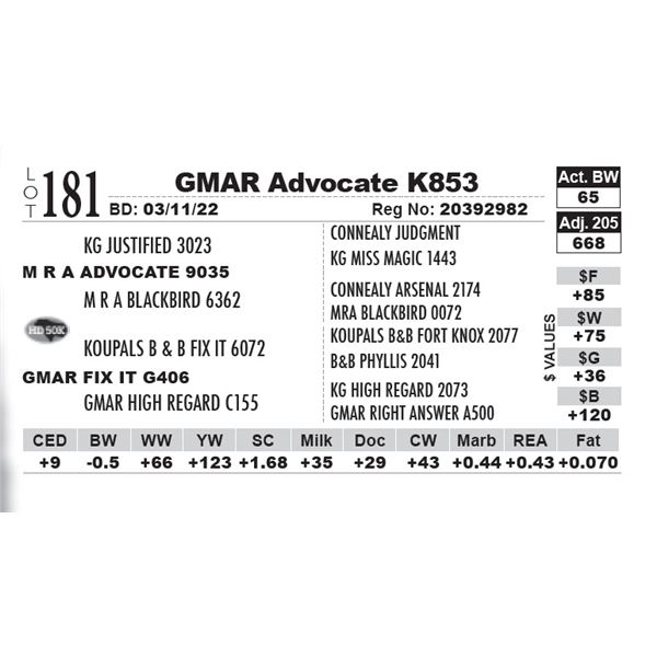 GMAR Advocate K853