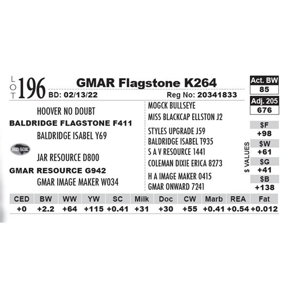 GMAR Flagstone K264