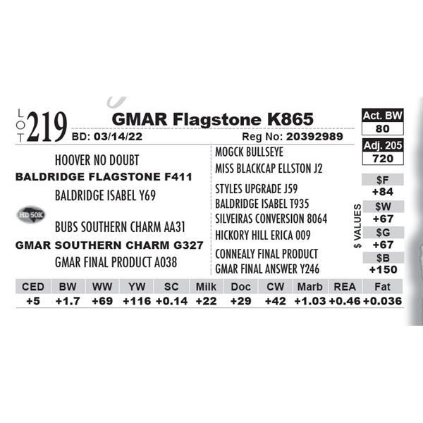 GMAR Flagstone K865