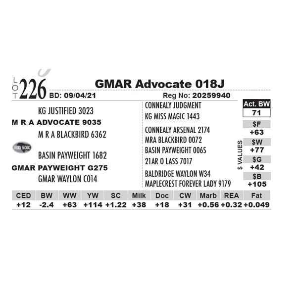 GMAR Advocate 018J