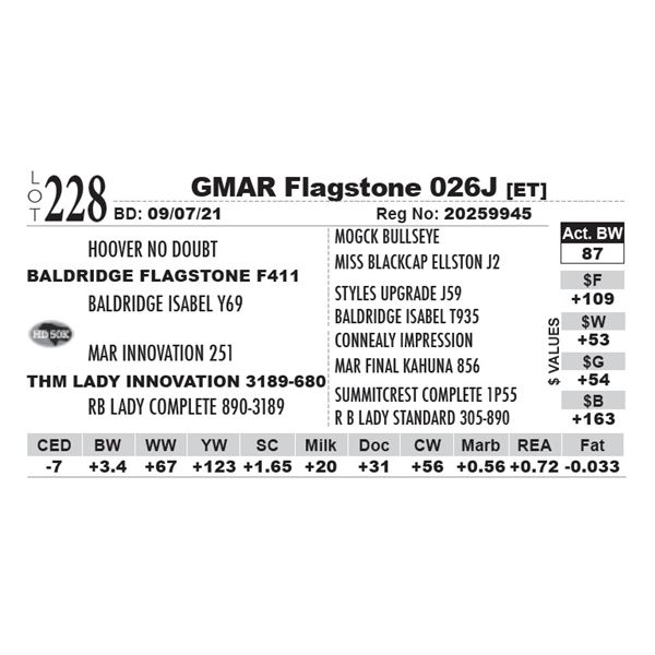 GMAR Flagstone 026J