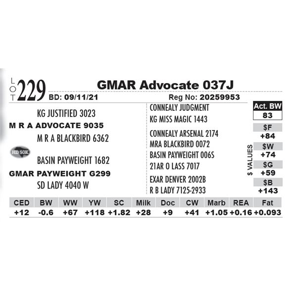 GMAR Advocate 037J