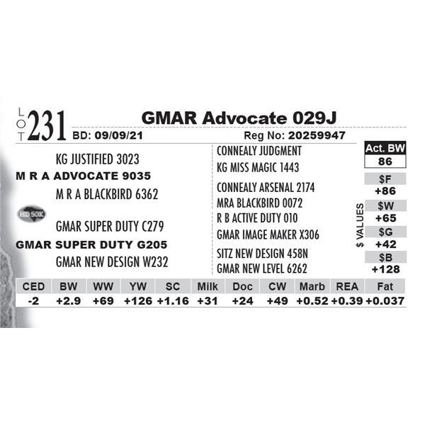 GMAR Advocate 029J