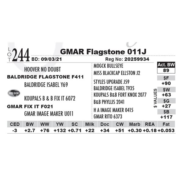 GMAR Flagstone 011J