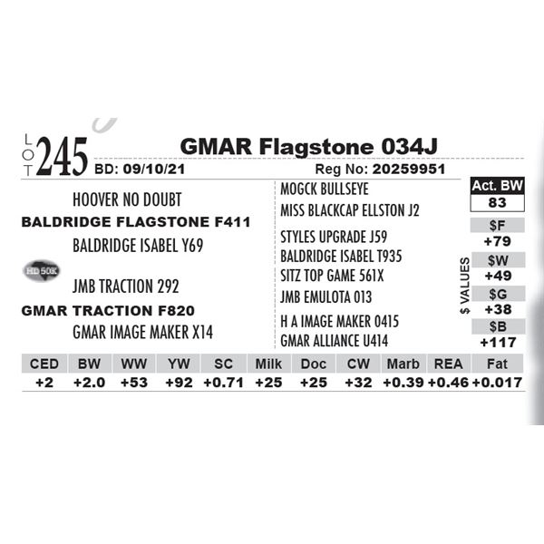 GMAR Flagstone 034J