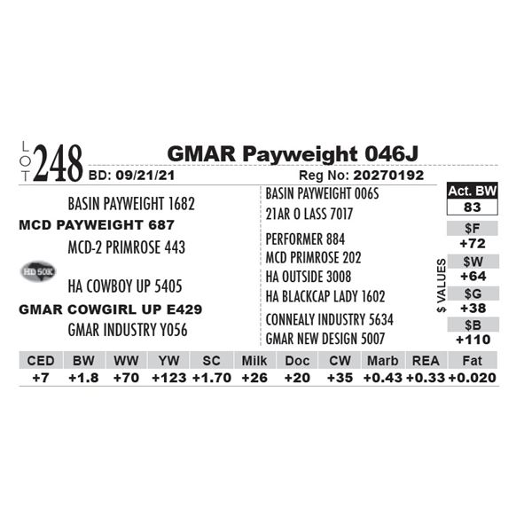 GMAR Payweight 046J