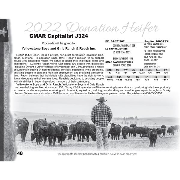 2022 Donation Heifer