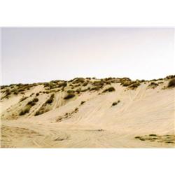 Natan Pernick, International painting