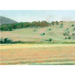 Ran Hadari, Israeli painting