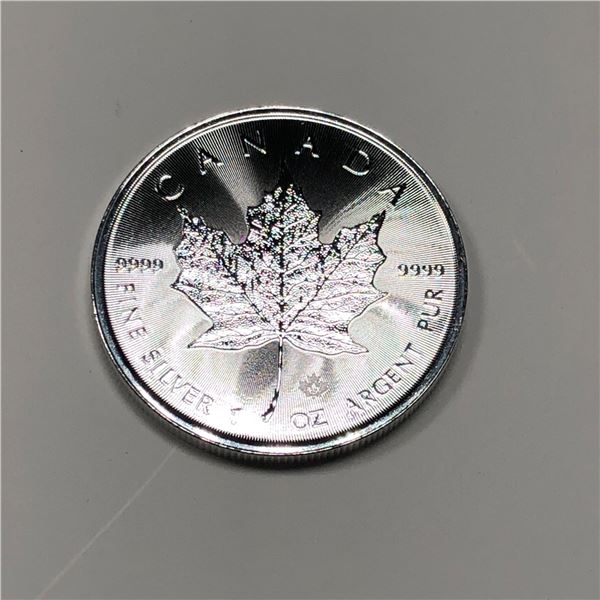 2022 Canadian Silver Maple BU