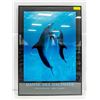 Image 1 : FRAMED DOLPHIN POSTER 24" X 34"