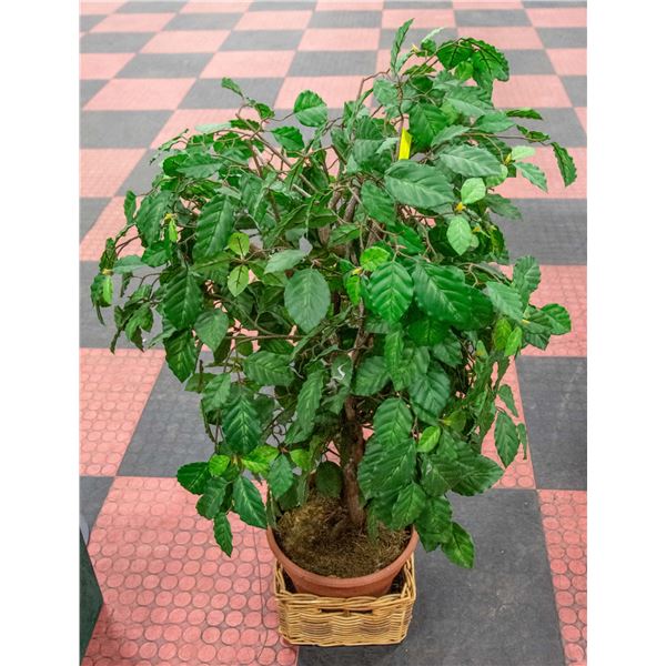 3FT FIG TREE FAUX-ESTATE