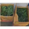 Image 1 : 2 BOXES OF GREEN RAILING GARLAND AND WREATHS