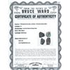 Image 3 : Mexico City, Mexico, cob 8 reales "greenie" (encrusted as found), Philip V, assayer not visible, ex-
