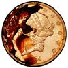 Image 1 : USA (San Francisco Mint), gold $20 coronet Liberty "double eagle," 1884-S, PCGS AU details / environ
