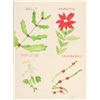 Image 1 : Canadian Watercolor on Paper Signed MAUD LEWIS