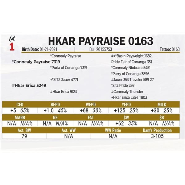 HKAR Payraise 0163