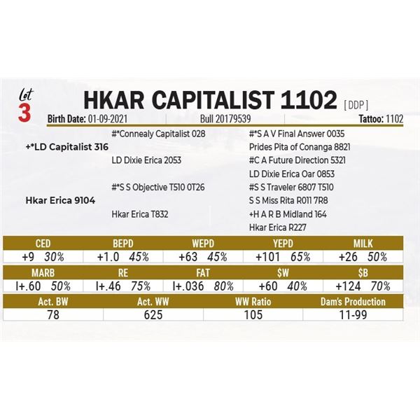 HKAR Capitalist 1102