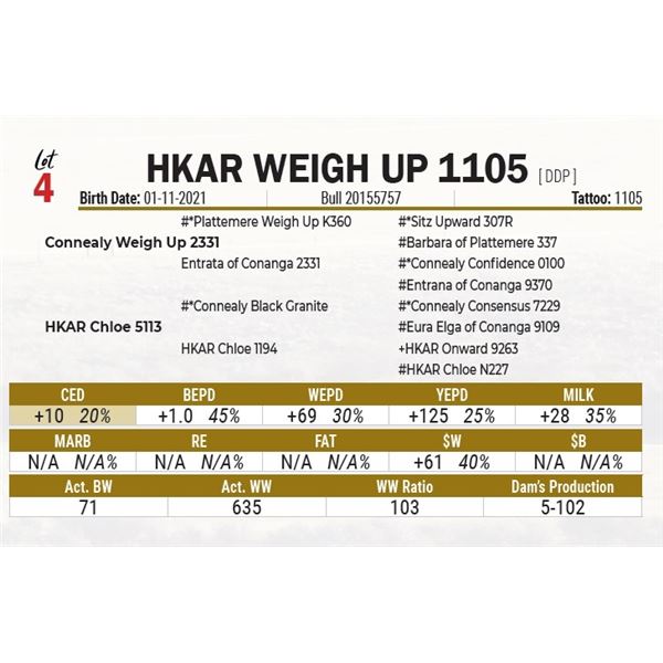 HKAR Weigh Up 1105