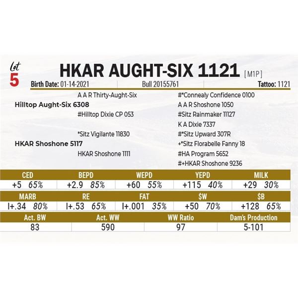 HKAR Aught-Six 1121