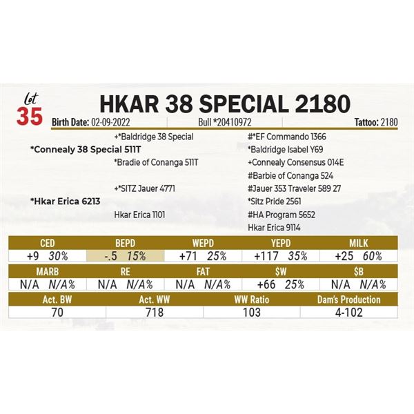 HKAR 38 Special 2180