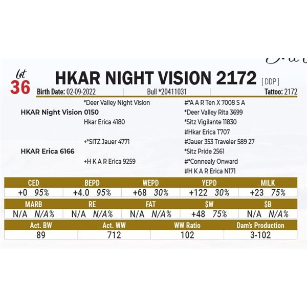 HKAR Night Vision 2172