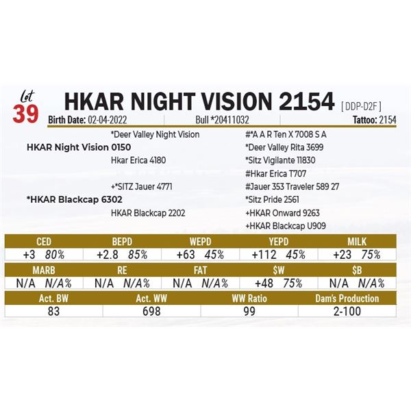 HKAR Night Vision 2154