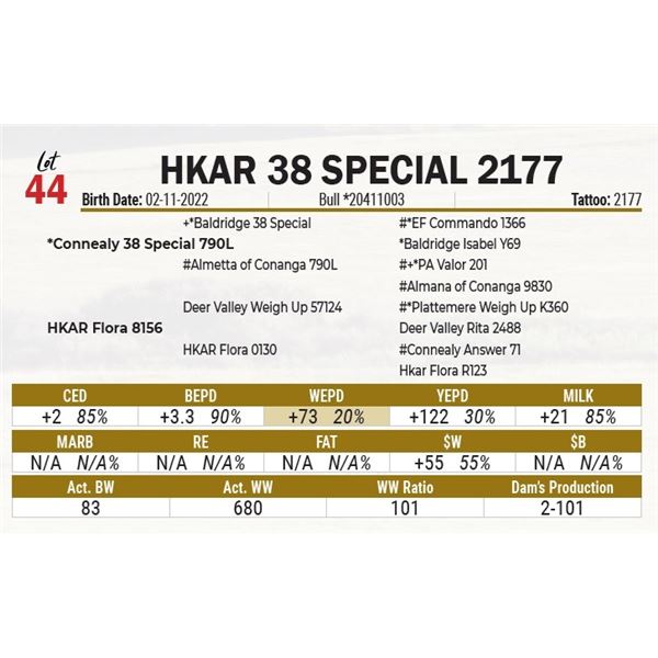 HKAR 38 Special 2177