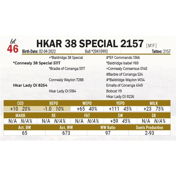 HKAR 38 Special 2157