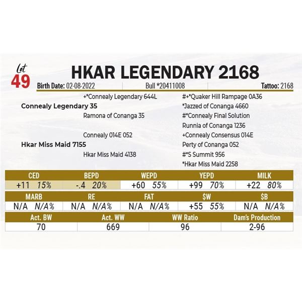 HKAR Legendary 2168