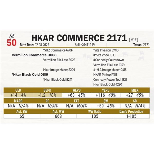 HKAR Commerce 2171