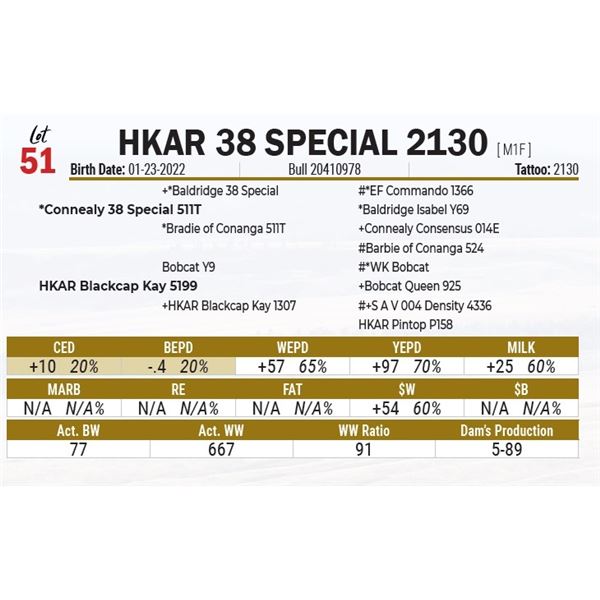 HKAR 38 Special 2130
