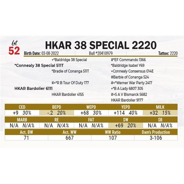 HKAR 38 Special 2220