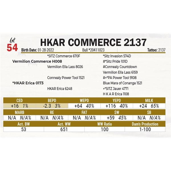HKAR Commerce 2137