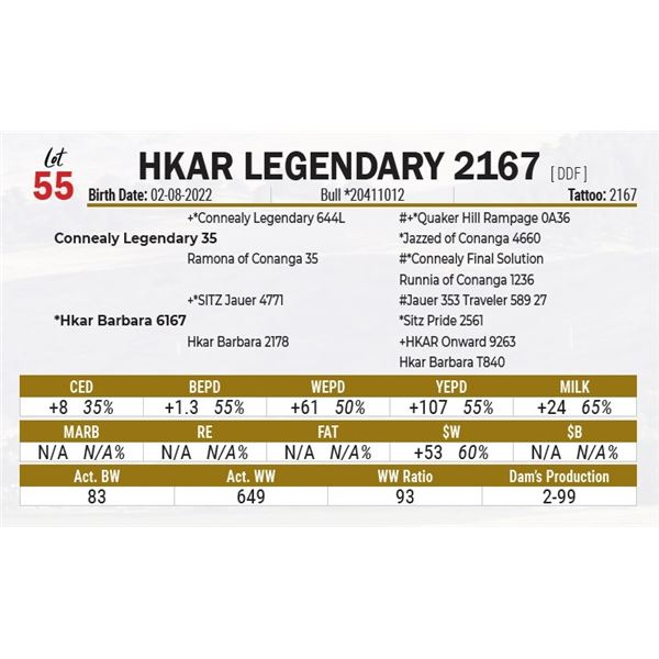 HKAR Legendary 2167