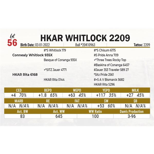 HKAR Whitlock 2209